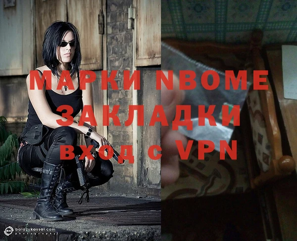 стаф Алексин