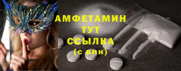 стаф Алексин